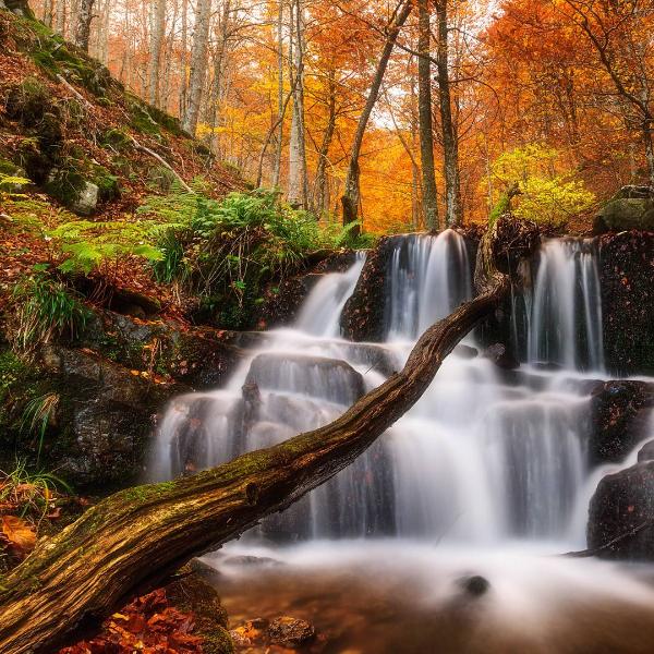 Cascade dans la forêt d’Irati